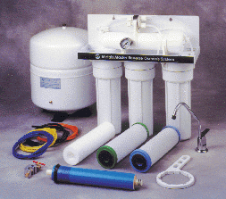 Basic R.O. System