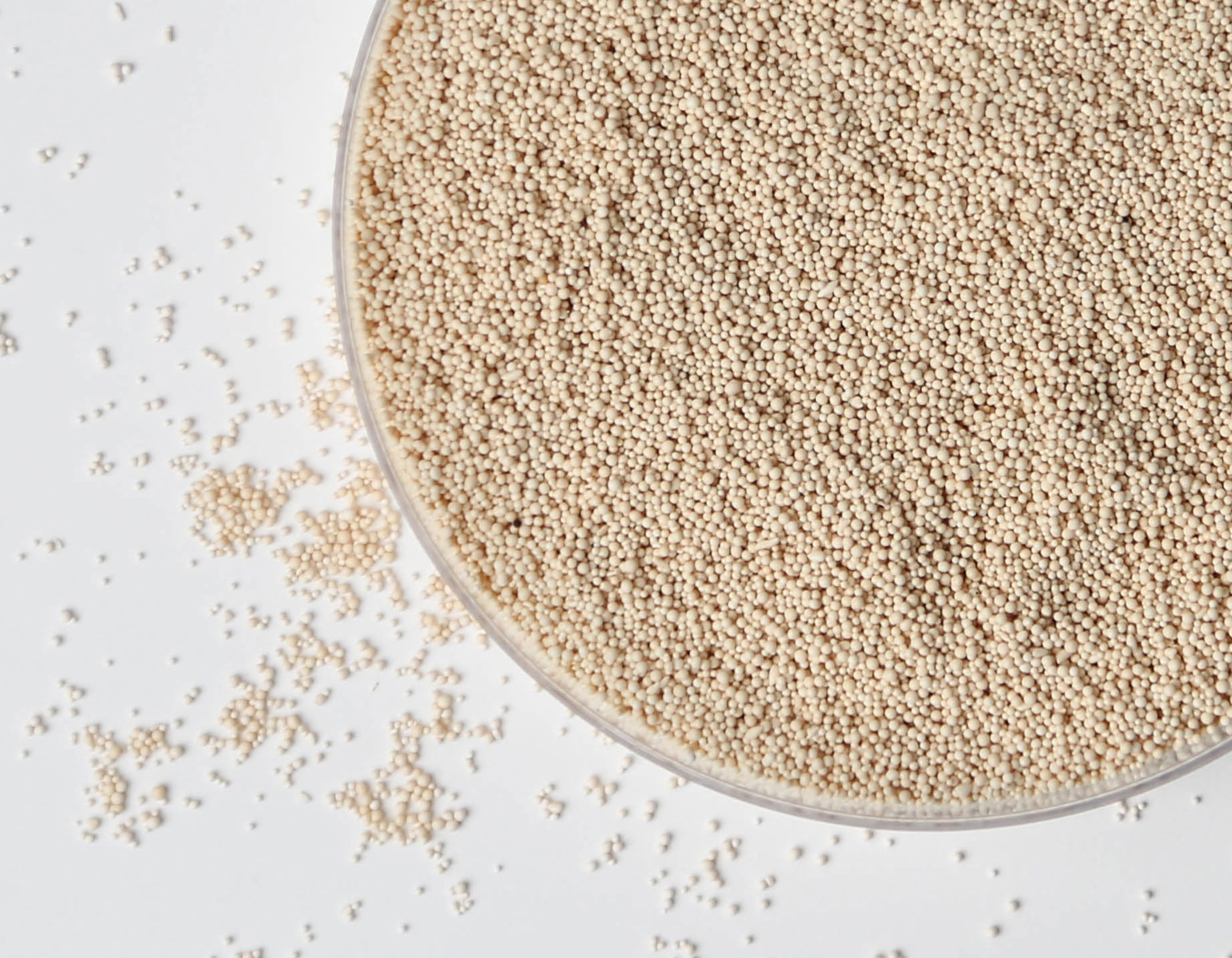 ER10112 ProBond Cation Iminodiacetate